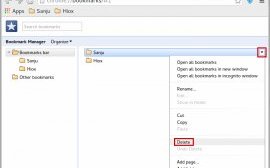 Erase Bookmark In Chrome