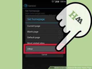 Image entitled Set the Android Browser Home Page action 6