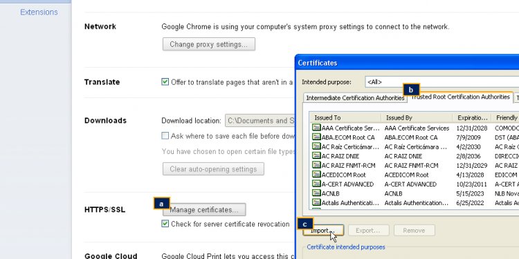 Chrome import from ie