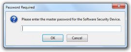 Master Password - Win1