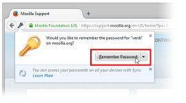 Password 29 - Win