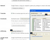 Chrome import from ie